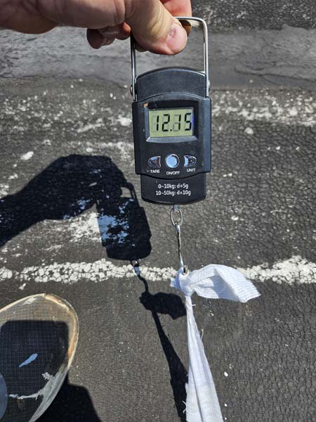 Adhesion pull test at 2330 Columbia Pike using a spring gauge to peel a cured silicone and polyester fabric test strip from the cleaned modified bitumen surface
