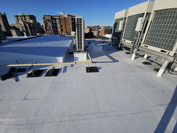 New white TPO membrane at 1530 P St NW beneath the building rooftop condensing units, with flashed curbs across the field
