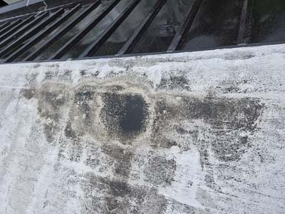 Close-up of a ponding depression in the old roof membrane at 1530 P St NW, ringed with accumulated dirt and biological growth